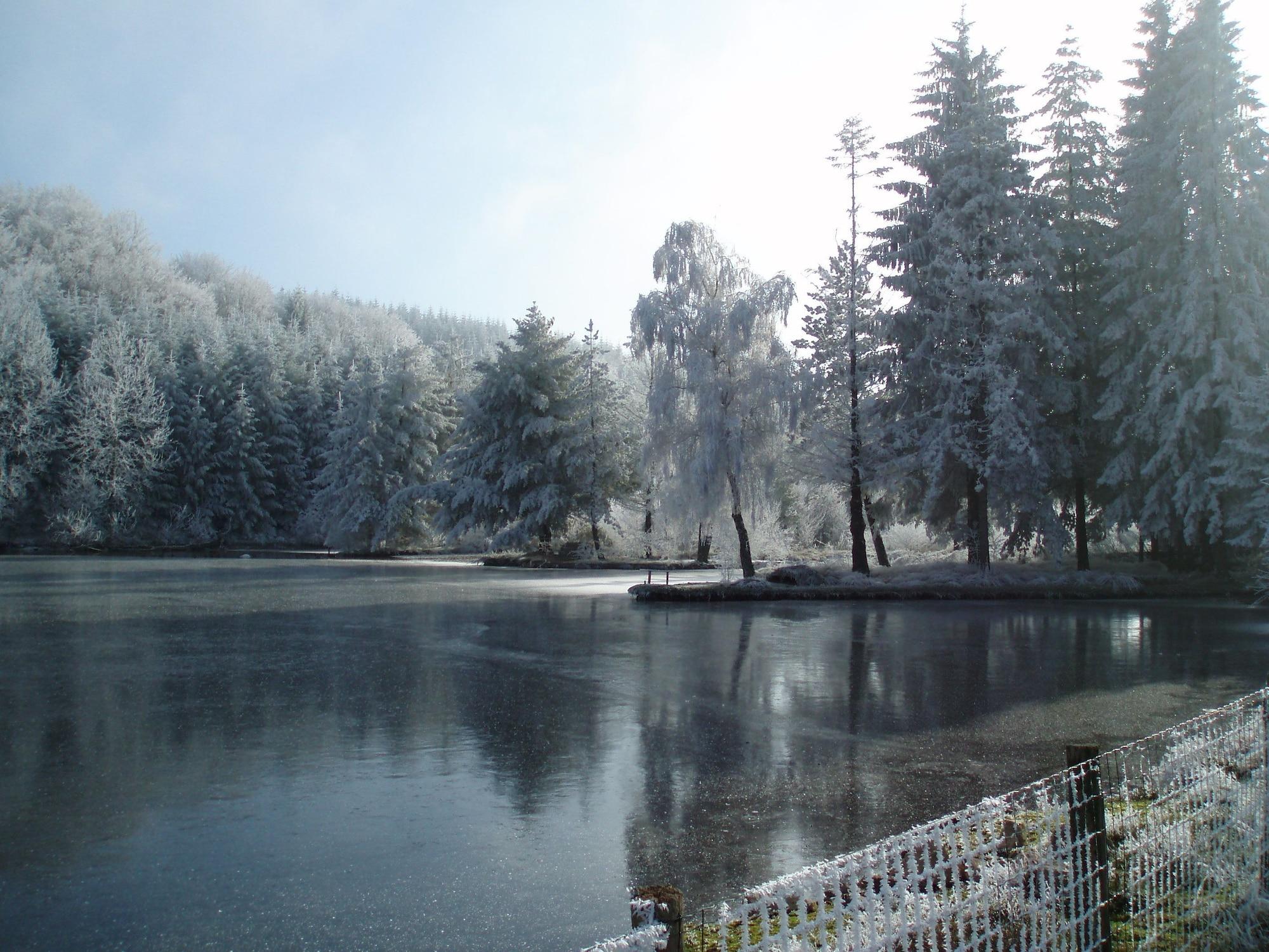 image url