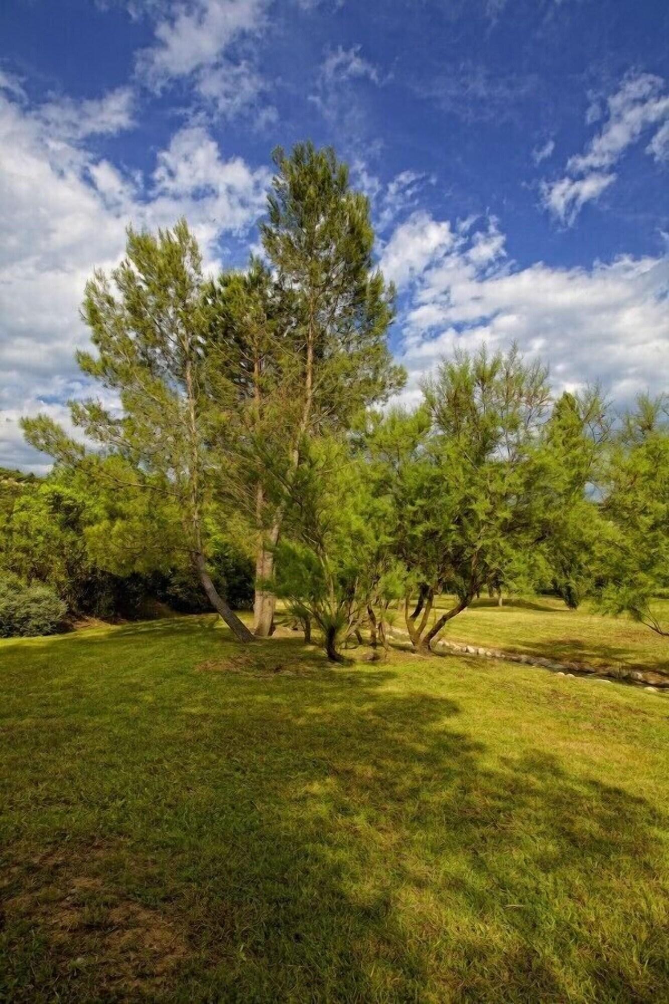 image url