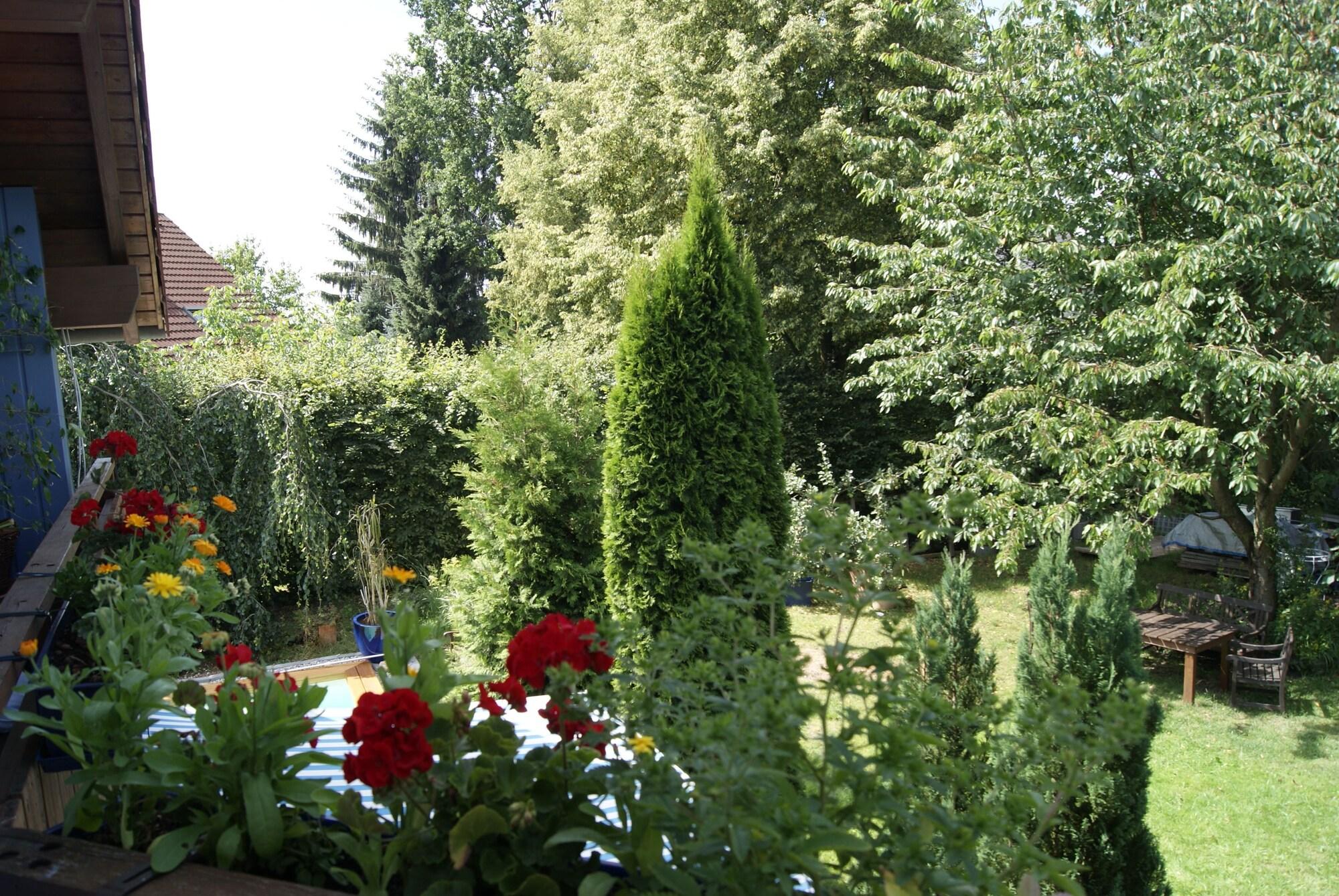 image url