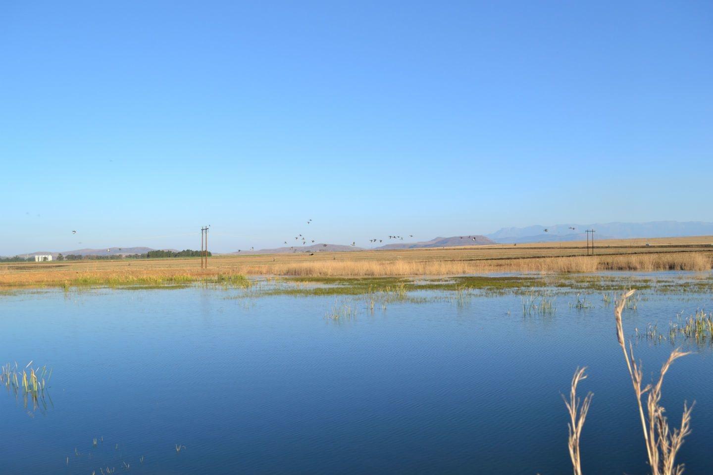 image url