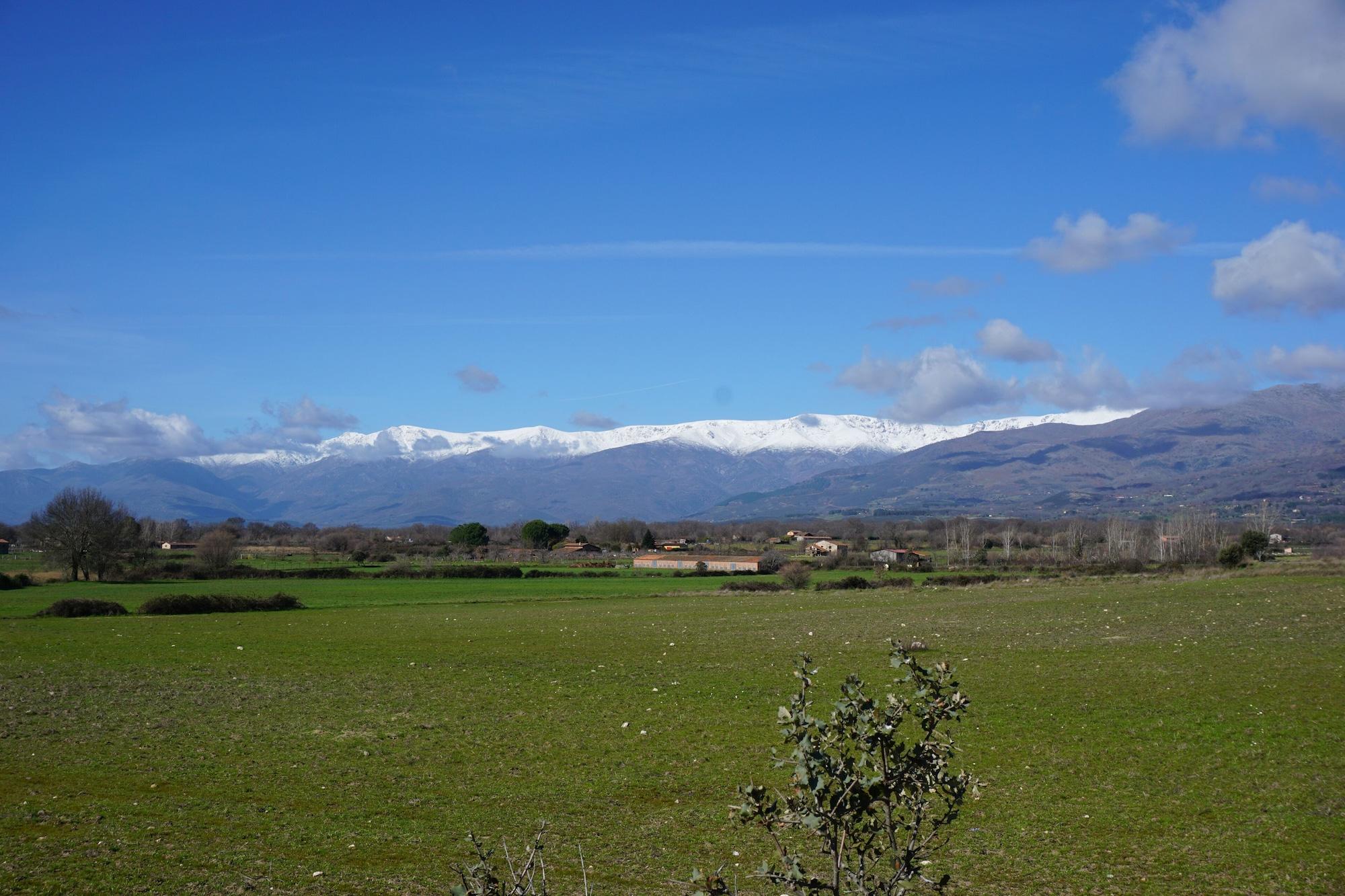 image url