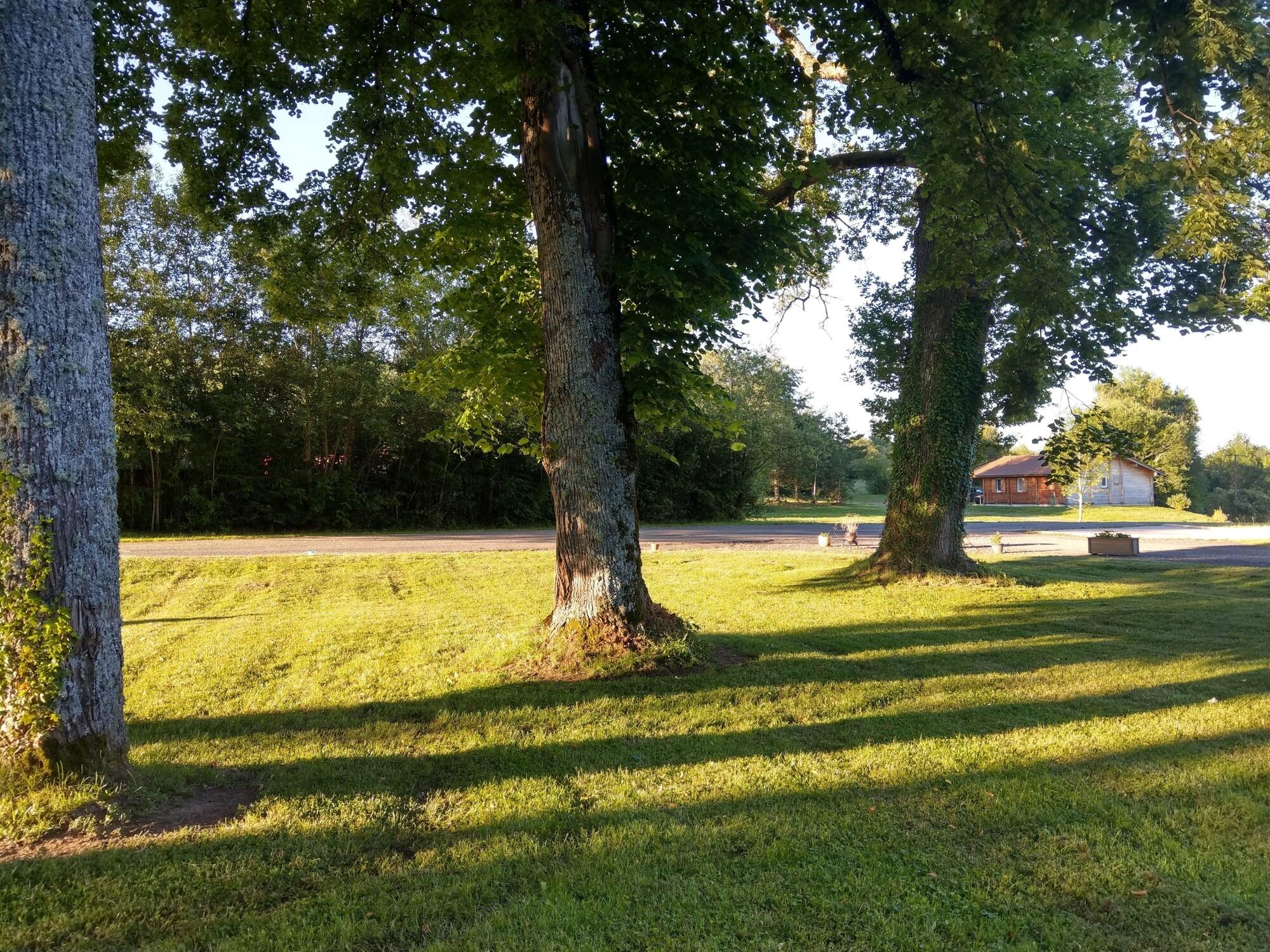 image url