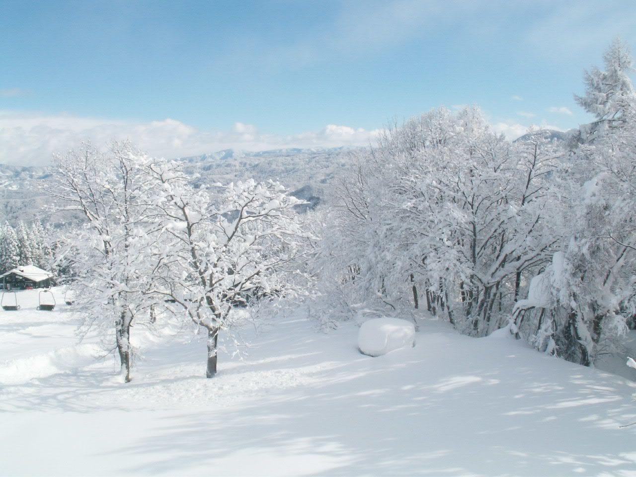 image url