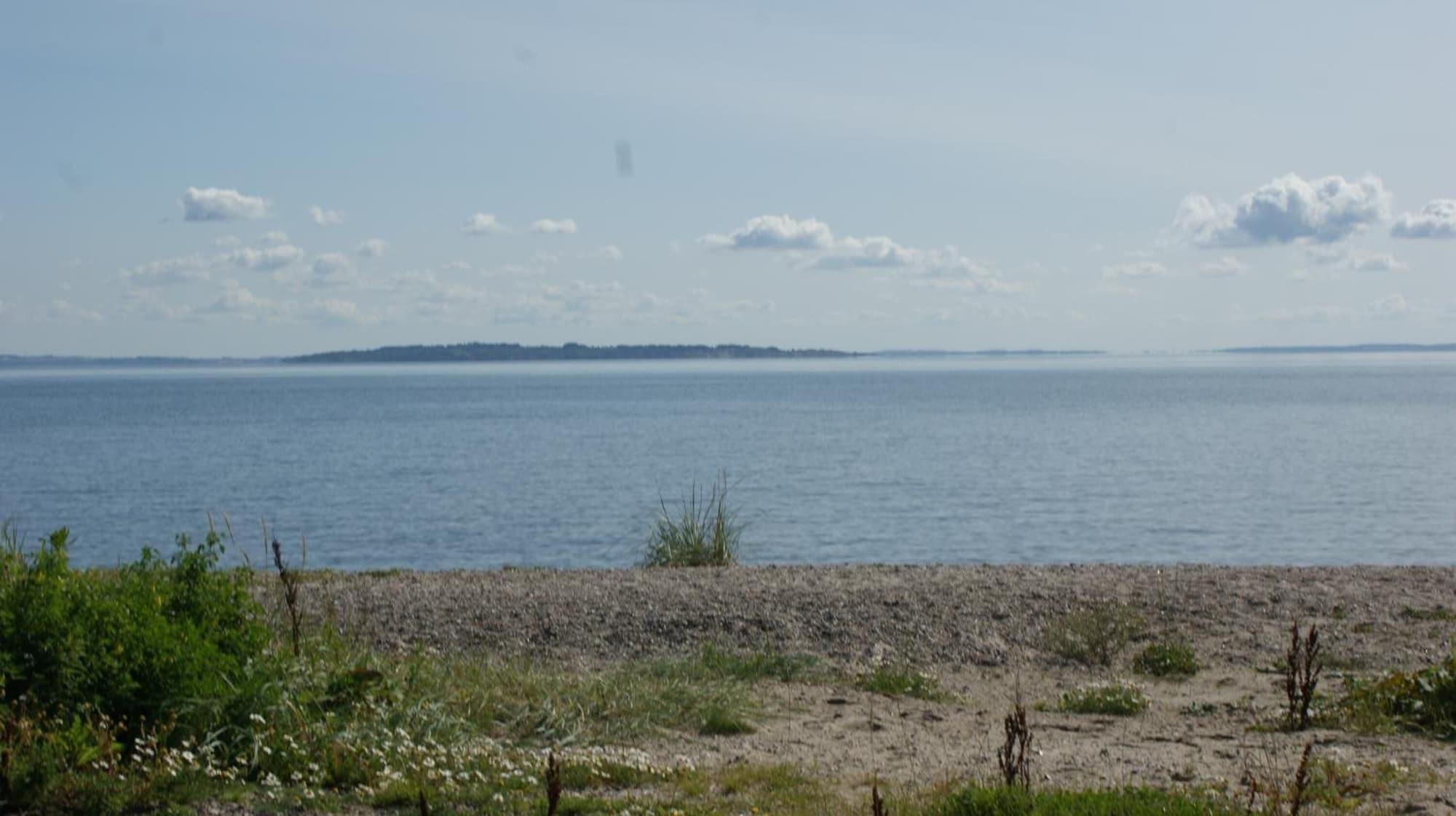 image url