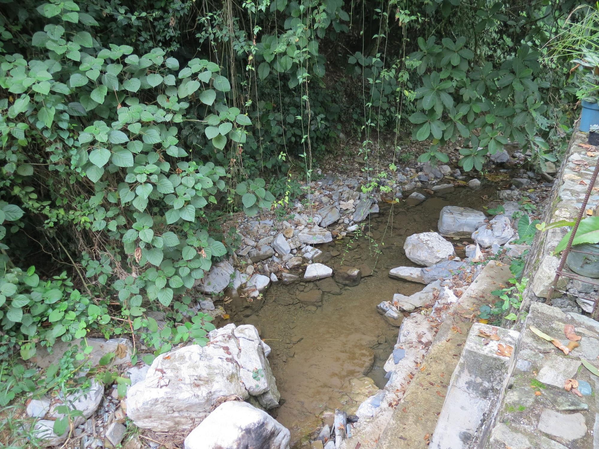 image url