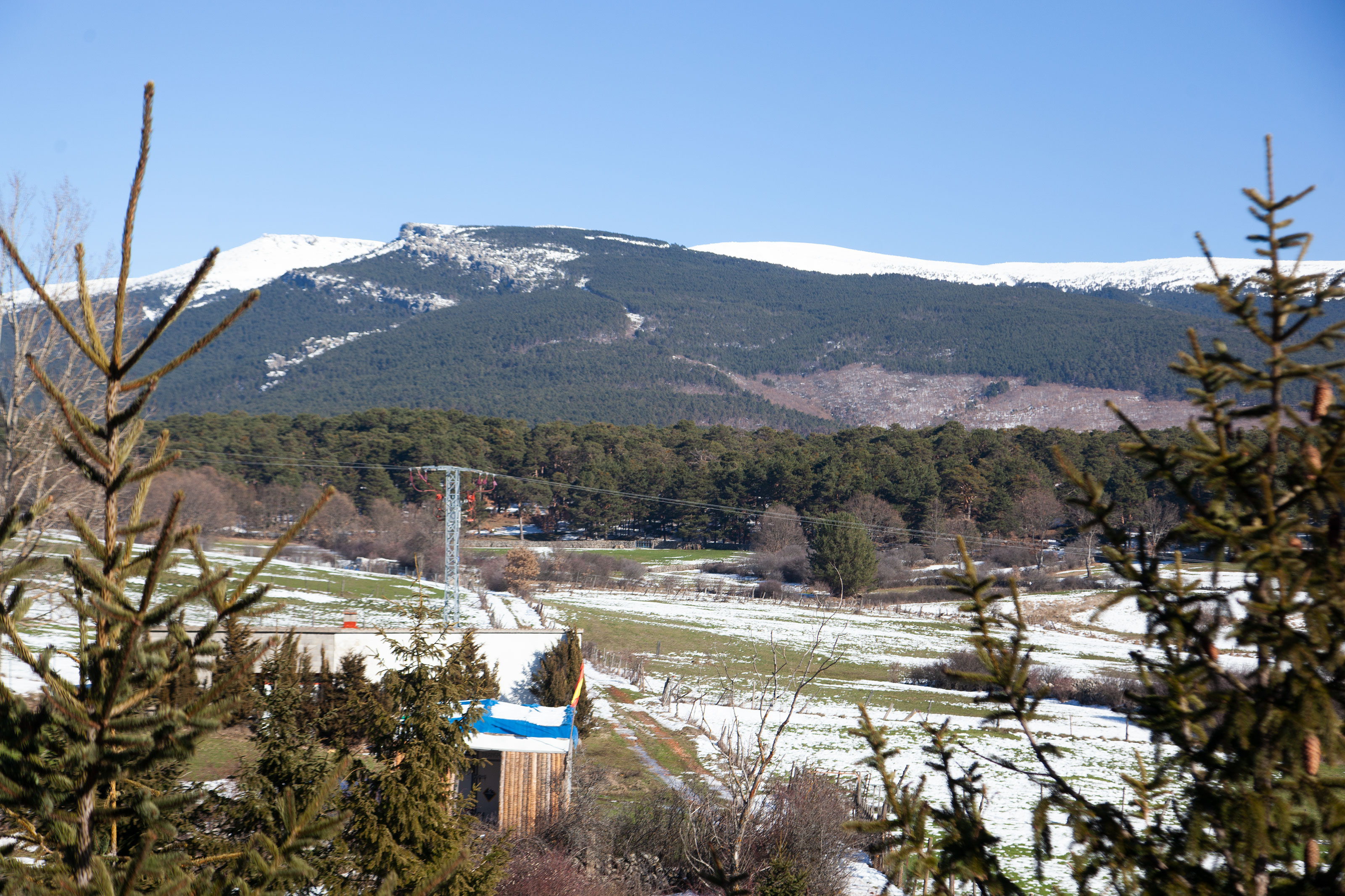 image url