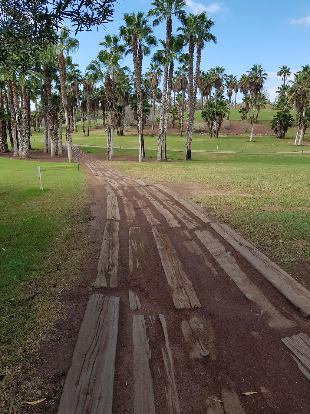 Hotel Las Madrigueras Golf Resort & Spa 
