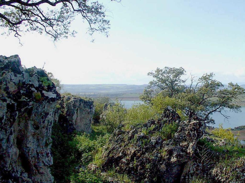 General view