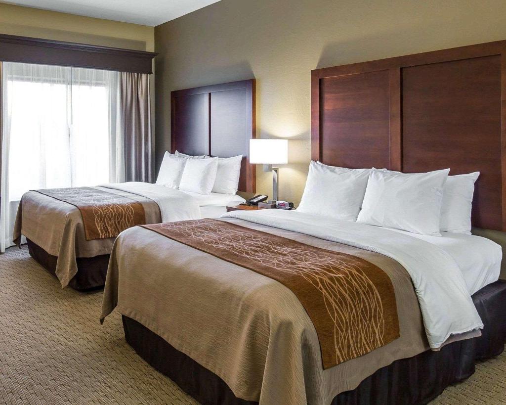 Comfort Inn & Executive Suites Naples 