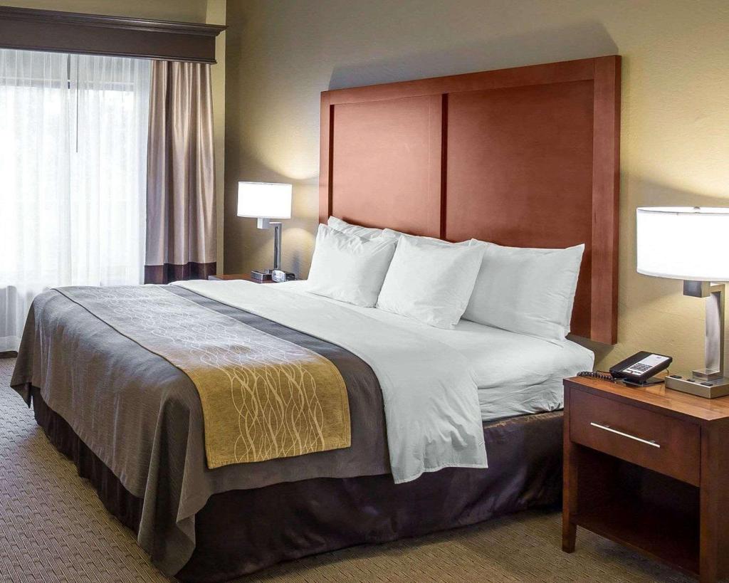 Comfort Inn & Executive Suites Naples 