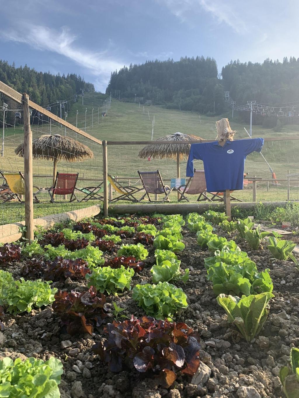 Hotel Le Tremplin Hotel Le Tremplin