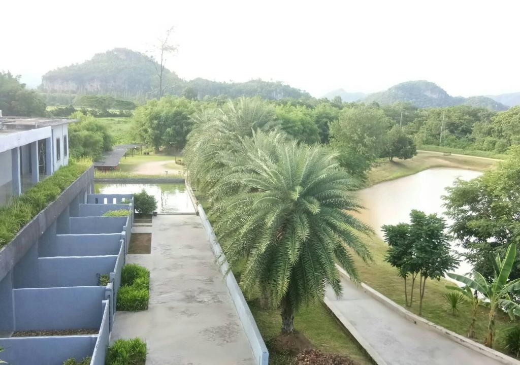 Avatarn Miracles Avatarn Miracles