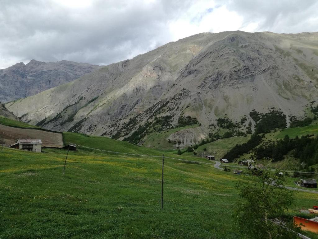 Bait De Angial 