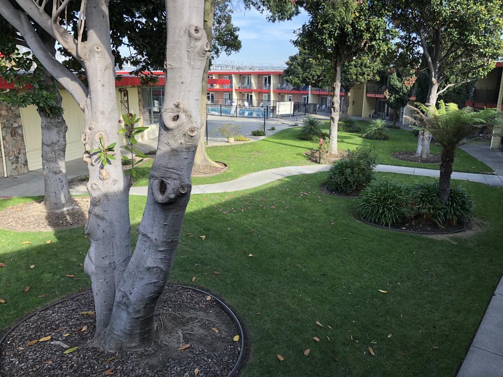 Econo Lodge Inn & Suites Oakland Airport 