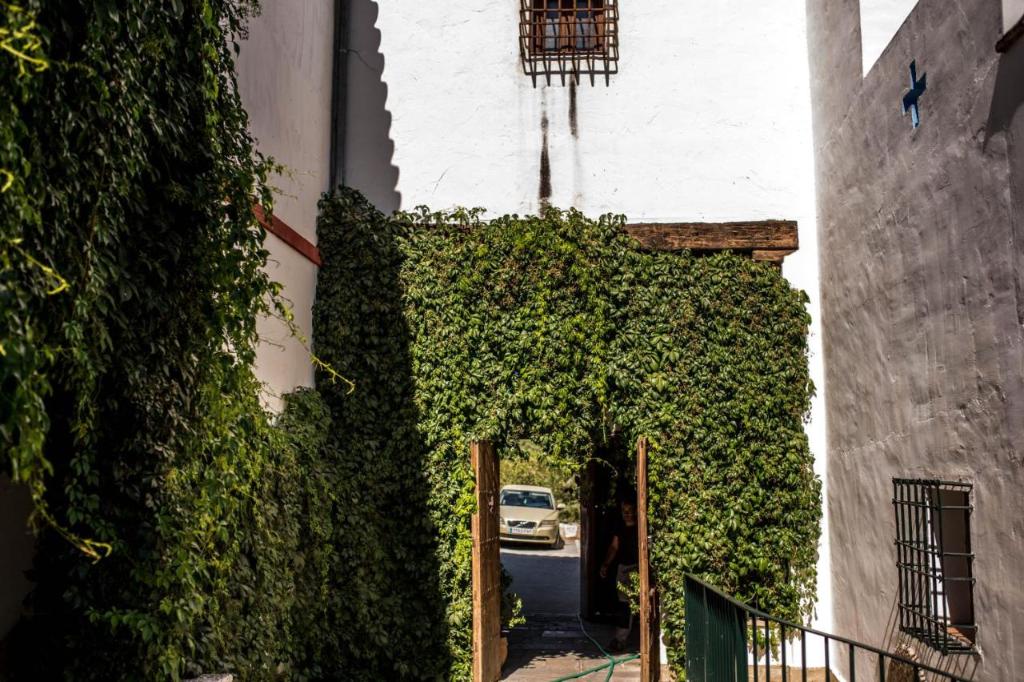 Hacienda Minerva 