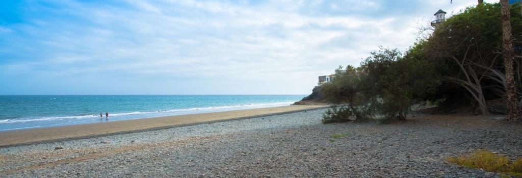 Side Shore Side Shore