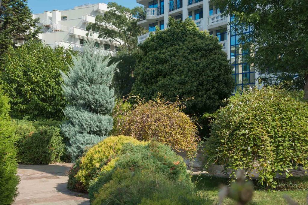 Das Club Hotel Sunny Beach Das Club Hotel Sunny Beach