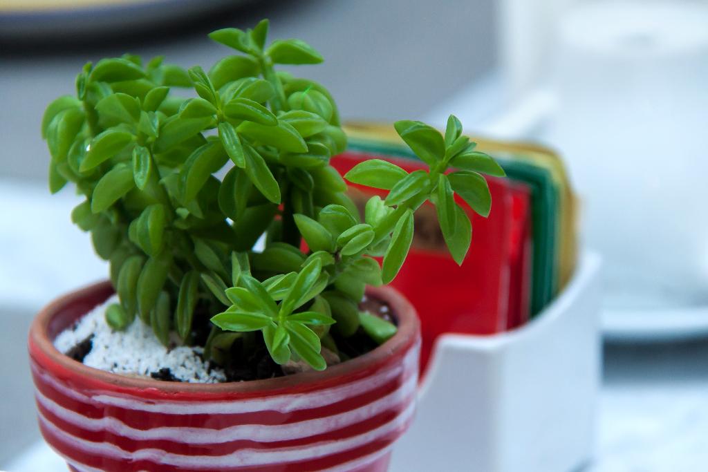 Palazzo Starace Relais 