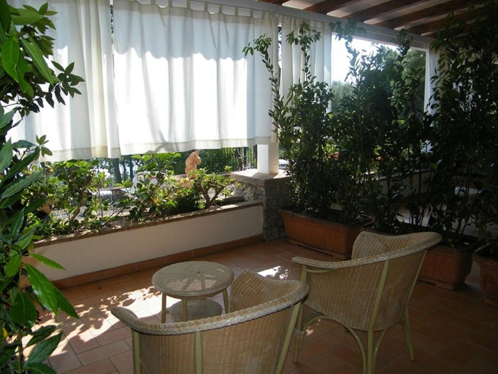Terrace