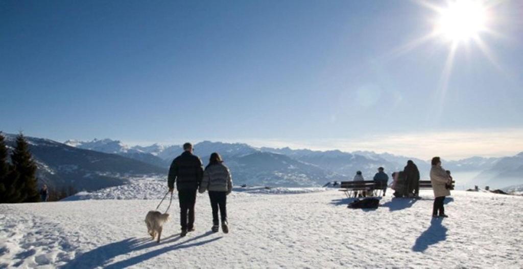 Helvetia Intergolf Helvetia Intergolf