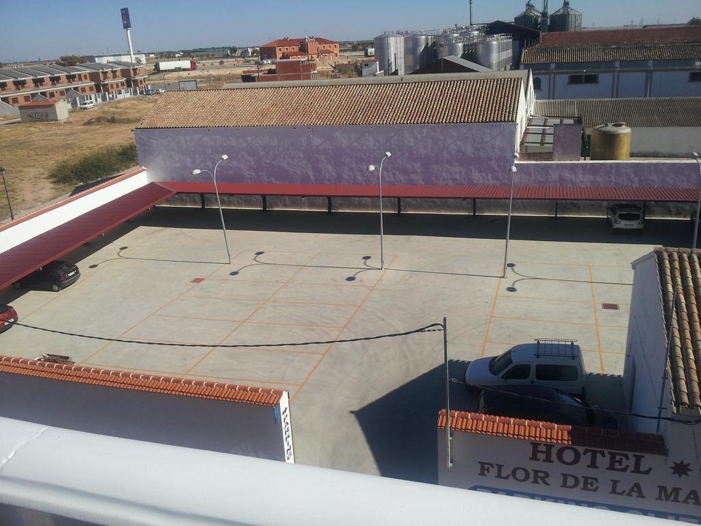 Flor De La Mancha 