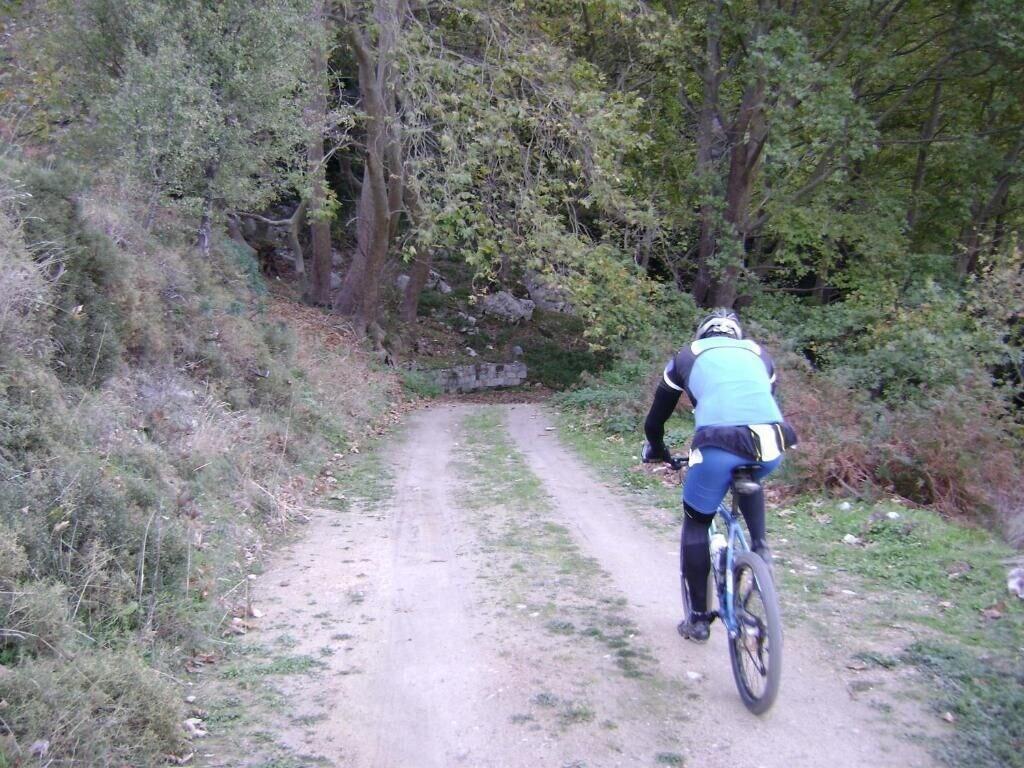 Avantis Suites Hotel 