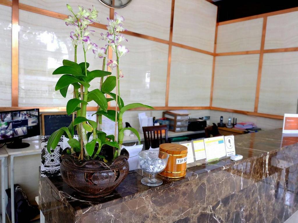 3b Boutique Bed & Breakfast 