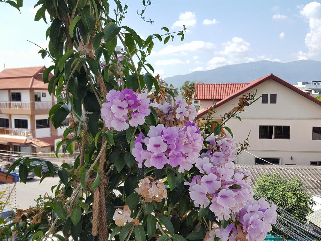 Bed And Terrace Guesthouse Bed And Terrace Guesthouse
