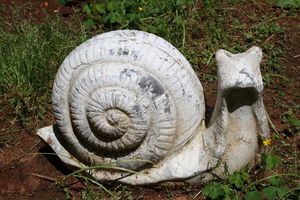 Antica Villa La Viola 