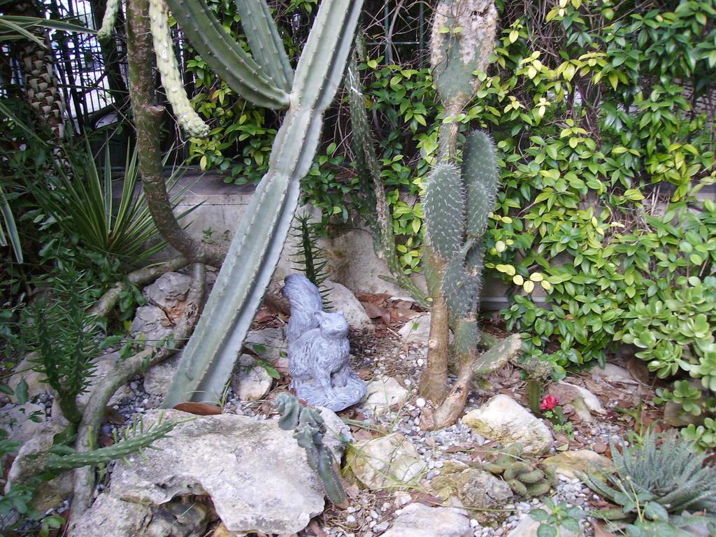 Antica Villa La Viola 