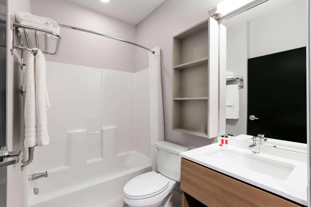 Microtel Inn & Suites By Wyndham Monahans 