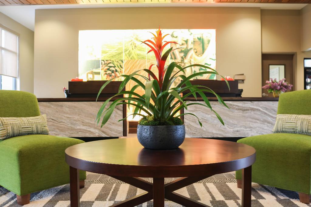 Hotel Indigo Traverse City By Ihg Hotel Indigo Traverse City By Ihg