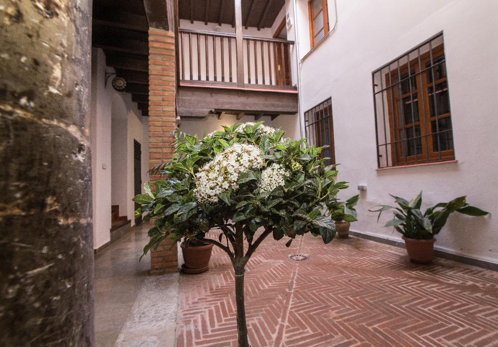 Granada Nahira Suites 3000 