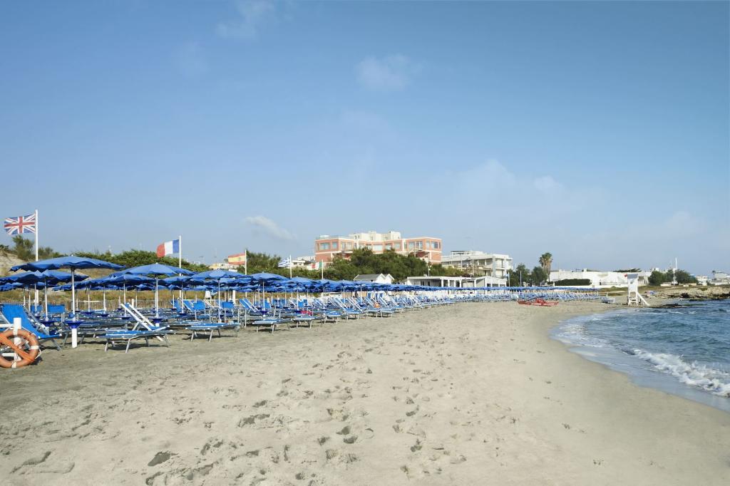 Cds Alba Azzurra Cds Alba Azzurra