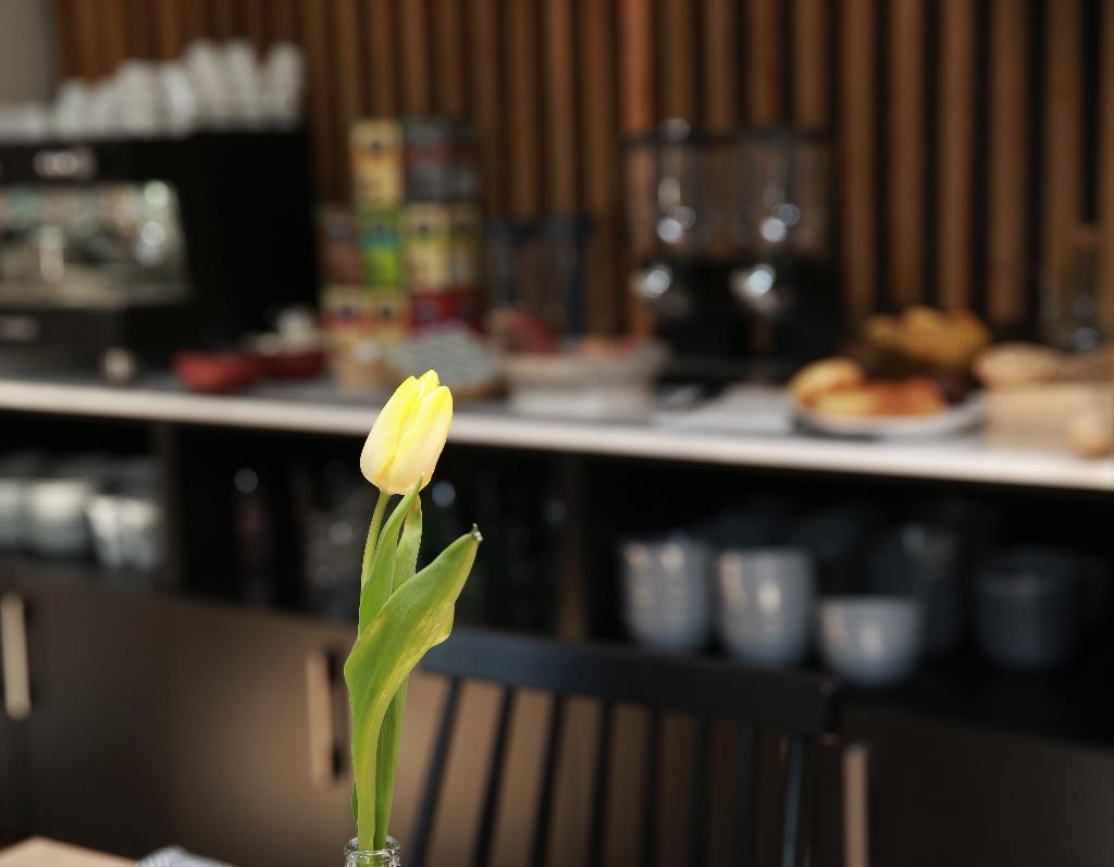 Hotel Cims De Camprodon 