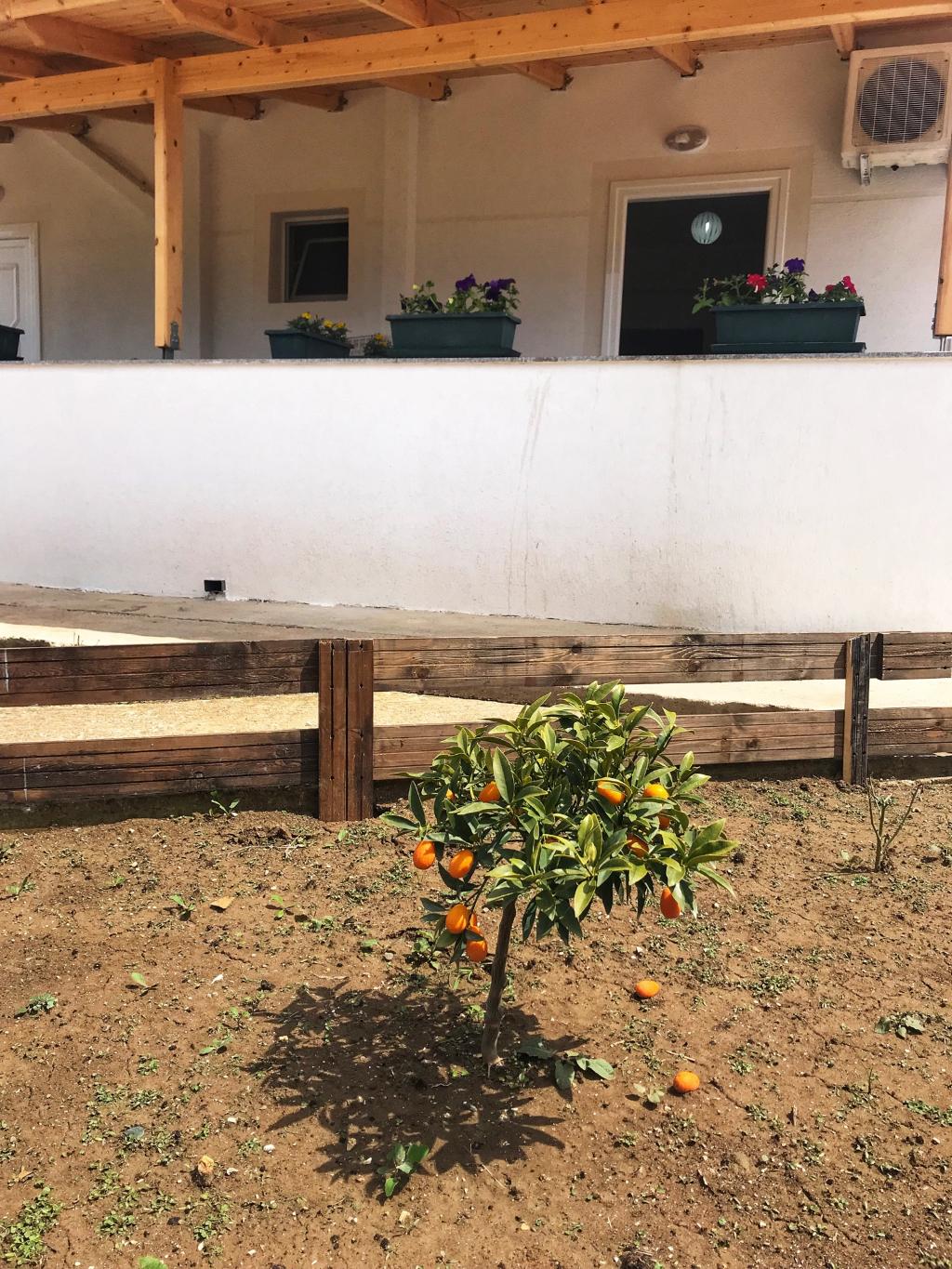 Privé Hotel And Apartment 