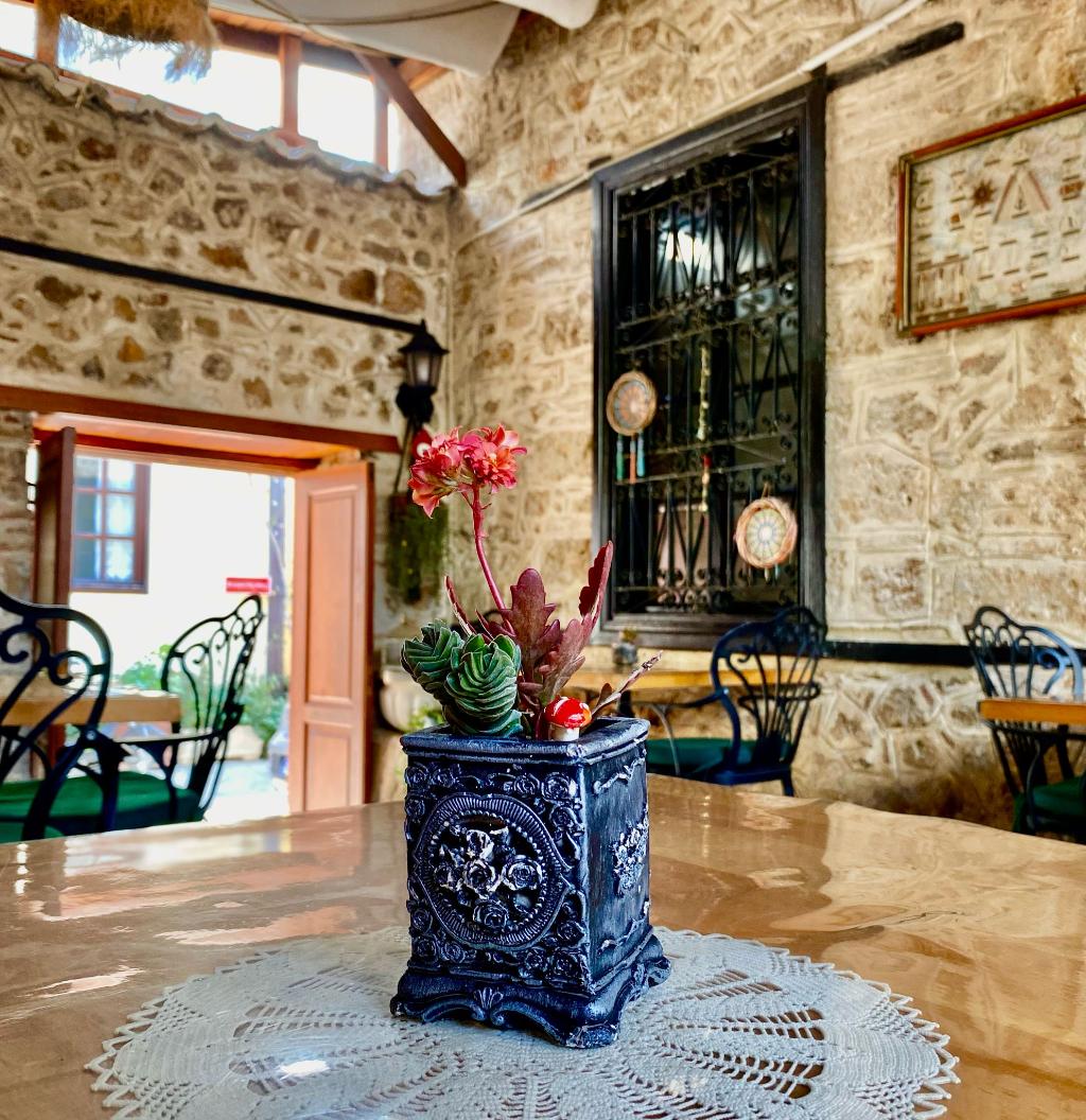Cedrus Hotel