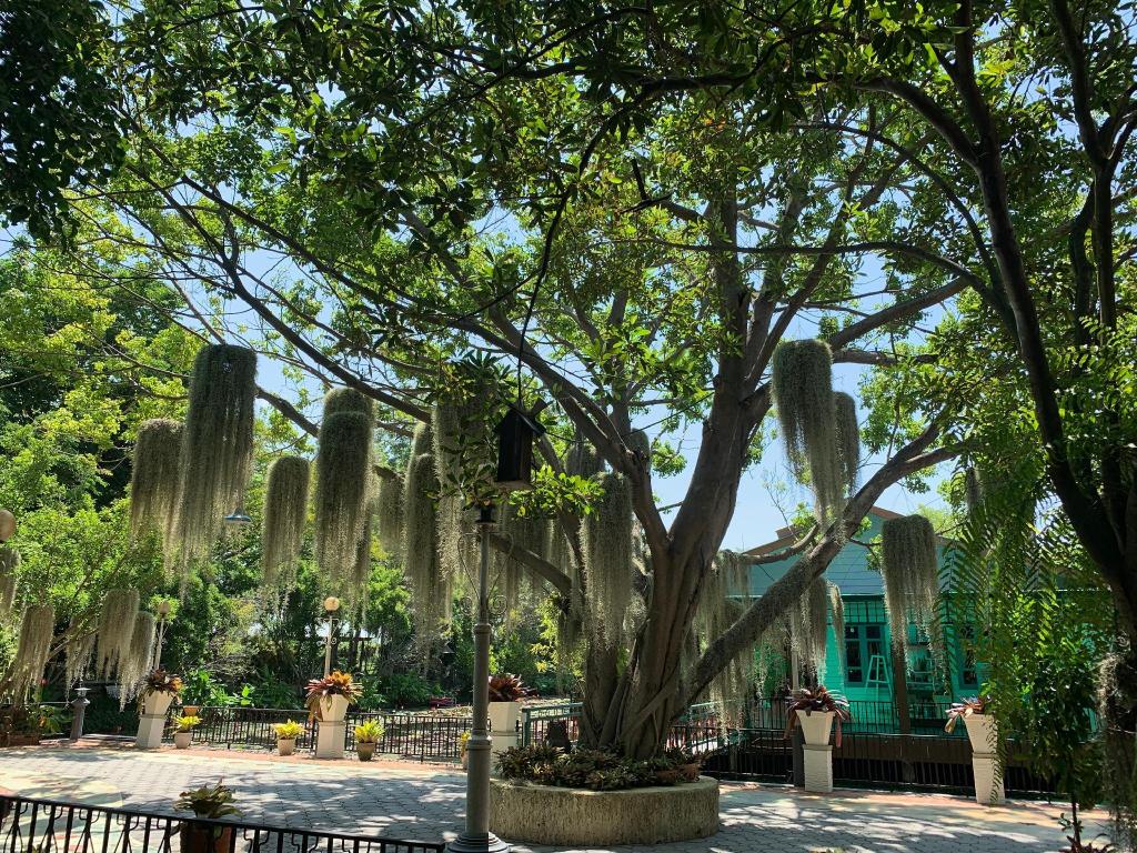 Muaan Resort 