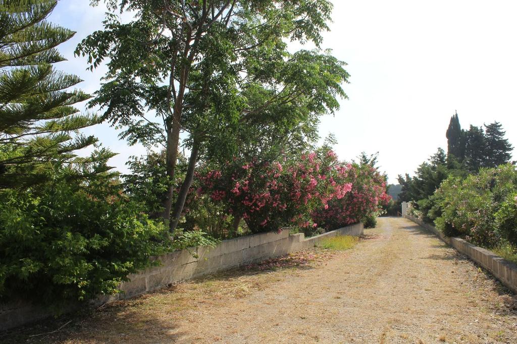 La Lanterna Delle Fate 