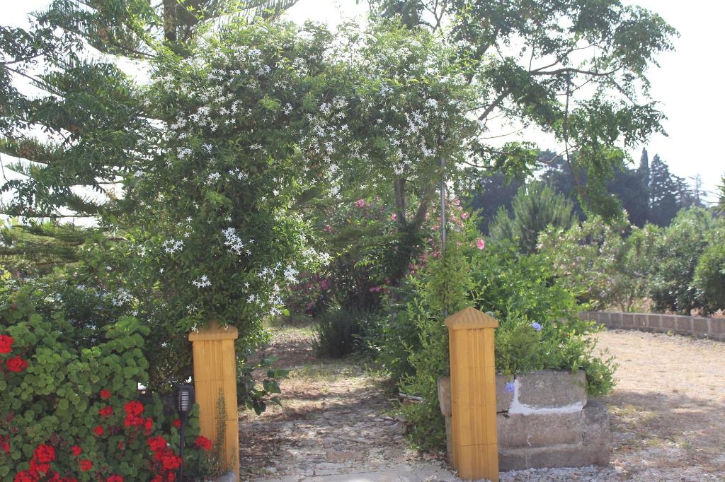 La Lanterna Delle Fate 