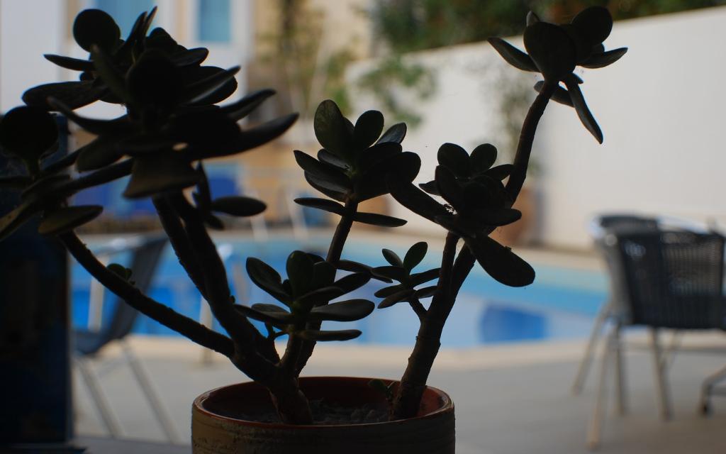 Renia Hotel 