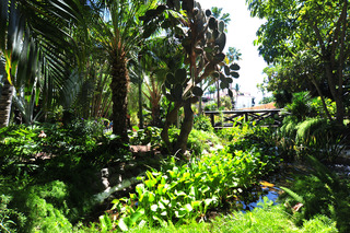 Parque Tropical - Generell