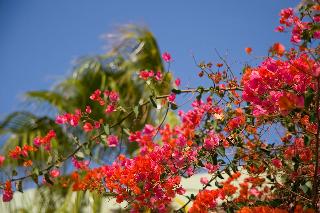 Terrace
 di Esquinzo Monte del Mar