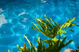 Las Piramides Resort