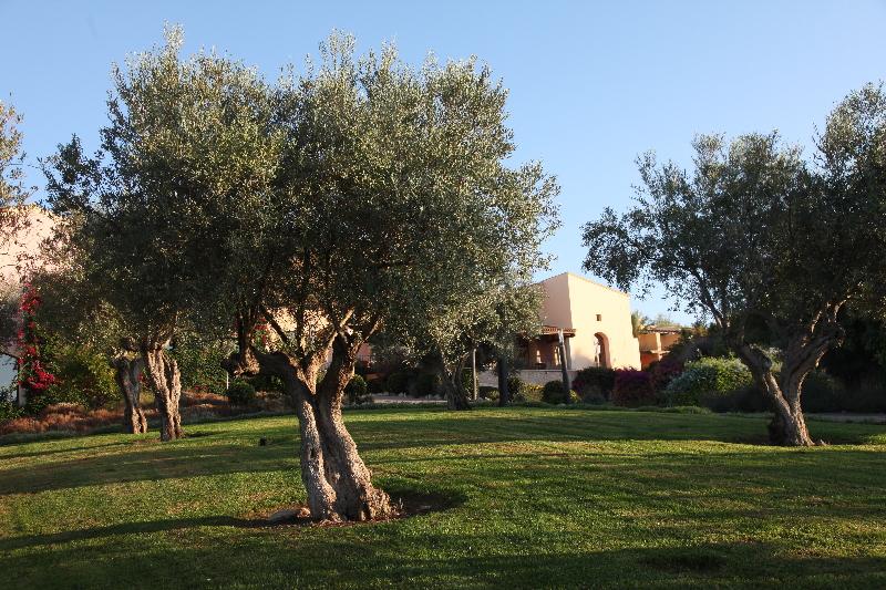 General view
 di Sentido Hotel Pula Suites Golf and Spa