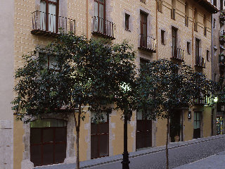 General view
 di Catalonia Born