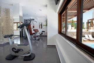 Sports and Entertainment
 di Saboia