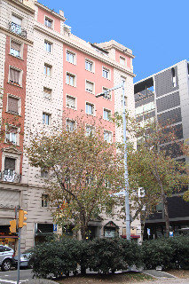 General view
 di Medium Prisma