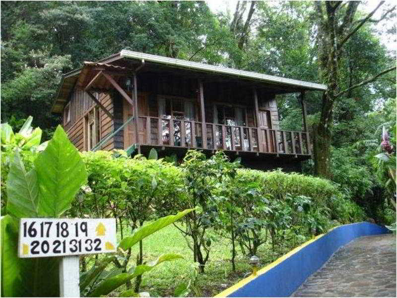 Foto del Hotel Hotel Ficus Monteverde del viaje aventura tropical costa rica