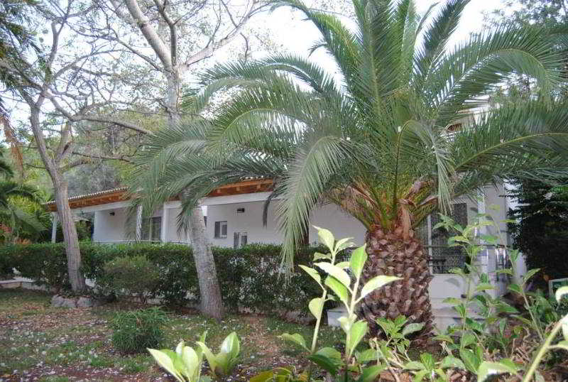 General view
 di Soller Garden